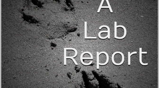 Book Review – A LAB REPORT by J.S. Carle